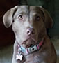 GRETTA