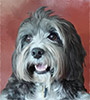 Bailey